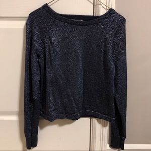 Forever 21 sparkly navy sweater